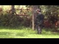 SunshineHerders Mix