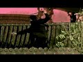 mazda-mx5-roadster-coupe-12-second-thriller-kung-fu.html