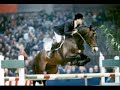 Jump Horses And dresuur paarden!!!