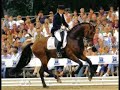 Jump Horses And dresuur paarden!!!