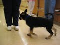 Luther at Osteo