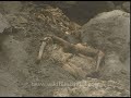 Creepy skeletons in Nanda Devi