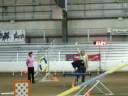 BUM MX 33 QQ 15