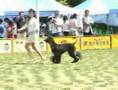 Afgano video