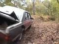 The Subaru- has Serious romping possibliltys