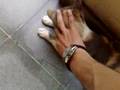 videos de Michina