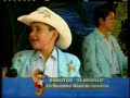 Cangrejito playero: Carlitos El Novillo