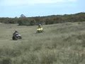 Quads-Trikes-ATV-Dir