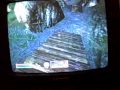 how to become a vampire in oblivion
