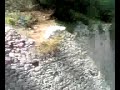 4 amike passano una giornata a capri...