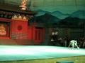 Shaolin-Si (Kung Fu, animales)