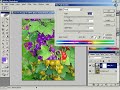 Zmiana koloru - Photoshop - tutoria.pl