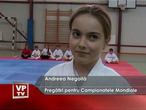 Pregătiri pentru Campionatele Mondiale
