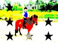 My beautiful pony My beautiful pony