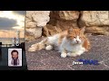 Focus Israel News 2012-03-29