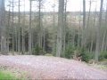 Me Up Ae, Mabie 4x & Dalbeattie Me Up Ae, Mabie 4x & Dalbeattie
