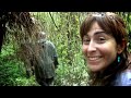 Viaje en busca de gorilas en Ruwanda
