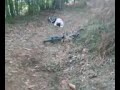 Haciendo un pco el tonto,se llega a lo que se llega,jaja,la suerte ye lo q tien.