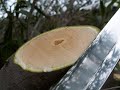 T-10 Tool Steel Katana - Destructive Testing Manele-Gratis.net