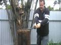 T-10 Tool Steel Katana - Destructive Testing
