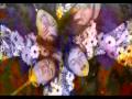 SERGEANT - SUNSHINE  *OFFICIAL VIDEO*