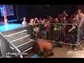 Lucha libre real