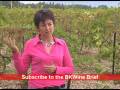 videos de [E] Montirius, #4 - a biodynamic wine grower, the story