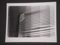 dmstudios-video-gallery-1.html