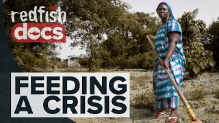 Feeding A Crisis: Africa’s Manufactured Hunger Pandemic