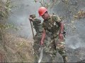 control de incendio forestal en celaque