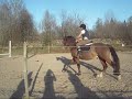 Rimstorp