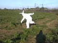 y el conejo escap�