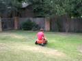 Backyard fun 2.