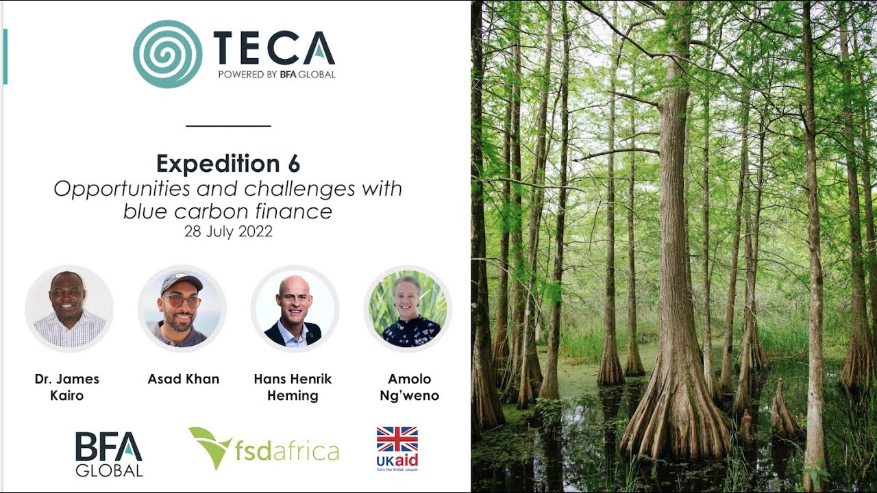 TECA Expedition Series: 6 - Opportunities and challenges with blue carbon