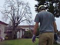 falling Pittosporum