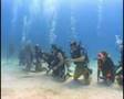 Roatan Honduras (Dolphin Dive) 2006 - long