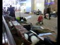 Dubai Airport \"Sleepers\"