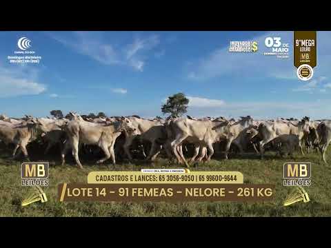 9� MEGA LEIL�O DA MB LEIL�ES