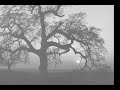 dave-garner.html