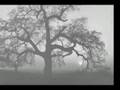 Ansel Adams Photo Display