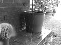 depressing rain video depressing rain video