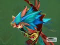 Zul\
