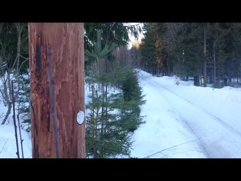 Latvala flat out at Randsbysater on Vargåsen 2015 Latvala flat out at Randsbysater on Vargåsen 2015