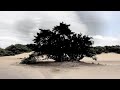 Détaché - Valley Of Shadows