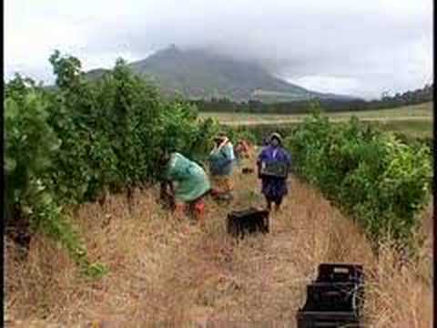 The United States/South Africa Wine ...