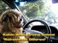Driving Lessons with a difference
