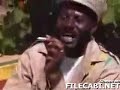 hilarious jamacian tour guide