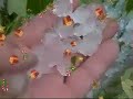 Eis Hagel  19.08.08