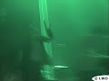 from the concert of poni hoax at super#2 party, during the festival exit in the 