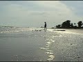 Drop in the Ocean Drop in the Ocean